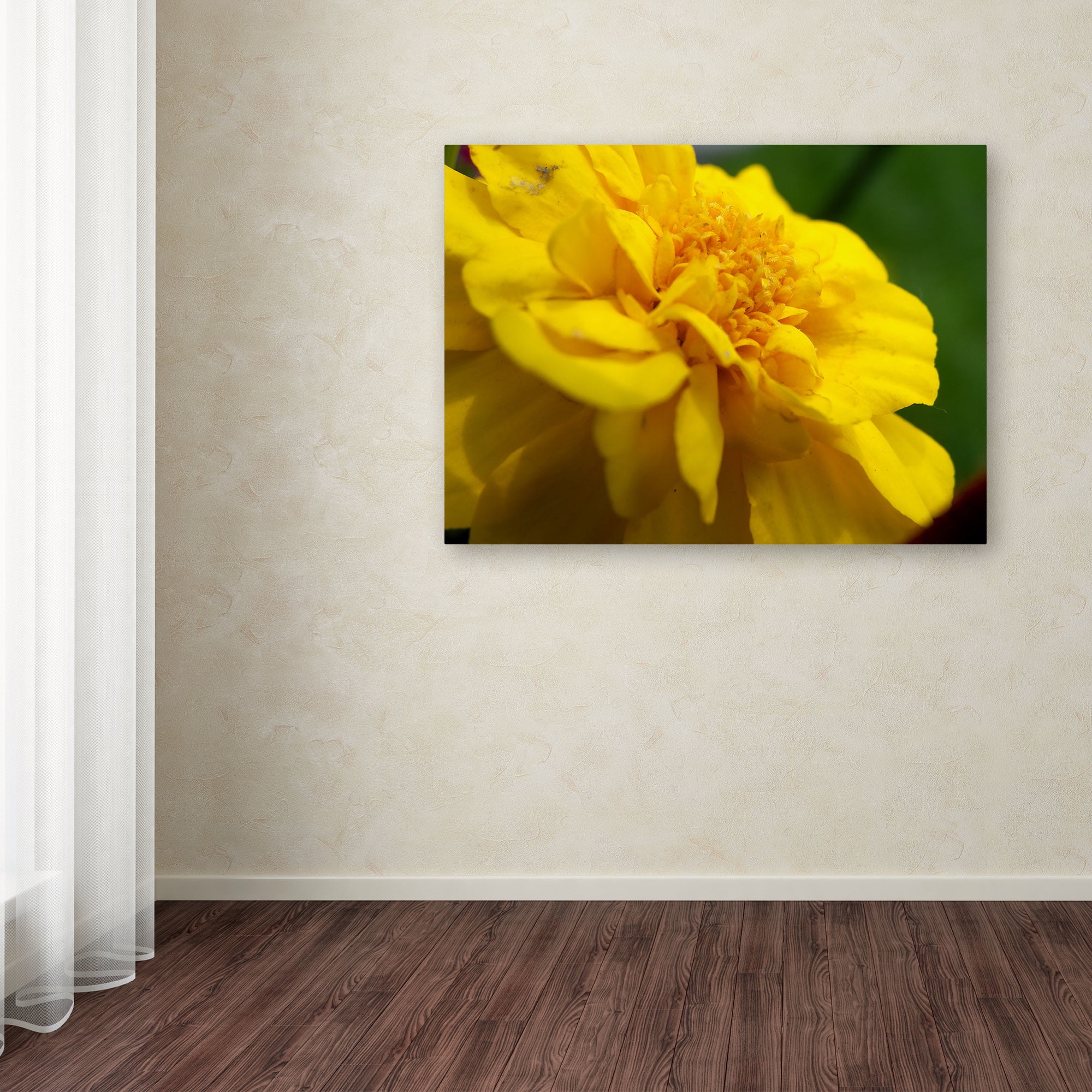 Trademark Fine Art "Ambiguous Vision" Canvas Art by Monica Fleet