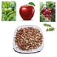 thumbnail image 4 of Smoking Wood Chips Smoked Barbecue Fruit Tree Chips Sawdust B, 4 of 5