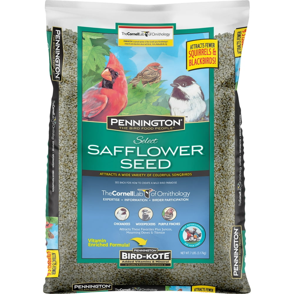 Pennington Select Safflower Seed, Wild Bird Feed and Seed, 7 lb. Bag