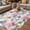 Pink Lavender, variant on Spring Flowers Outdoor Rug for Patio/Deck/Porch, Non-Slip Large Area Rug 5 x 8 Ft, Watercolor Floral Dragonflies Vintage Indoor Outdoor Rugs Washable Area Rugs, Reversible Camping Rug Carpet Runner