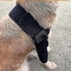 thumbnail image 1 of Adjustable Dog Elbow Brace - Support for Shoulders, Front Leg Injuries & Arthritis (Large), 1 of 4