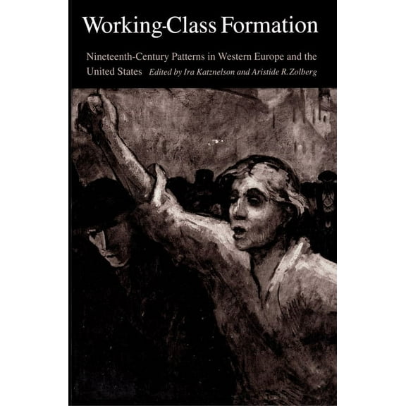 Working-Class Formation: Ninteenth-Century Patterns in Western Europe and the United States, (Paperback)