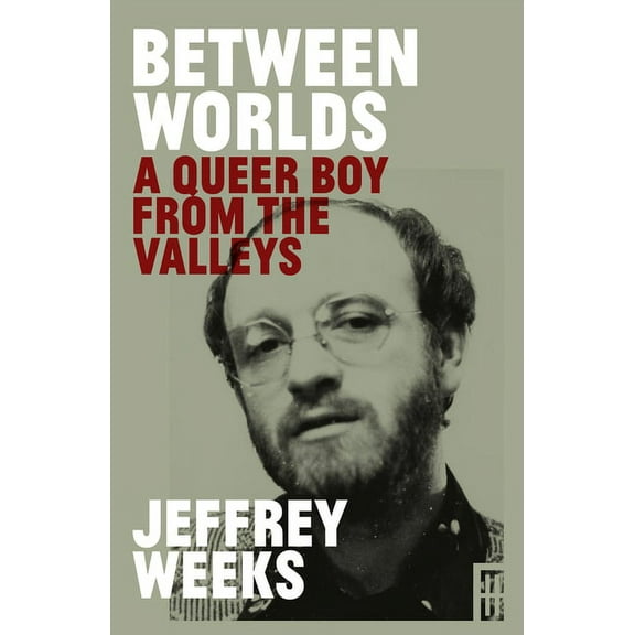 Between Worlds : A Queer Boy from the Valleys (Hardcover)