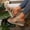 Brown, variant on Norvail Womens Lightweight Wedge Sandals Breathable Hollow Platform Orthopedic Shoes with Arch Support for Casual Dressy Summer Walking Shoes