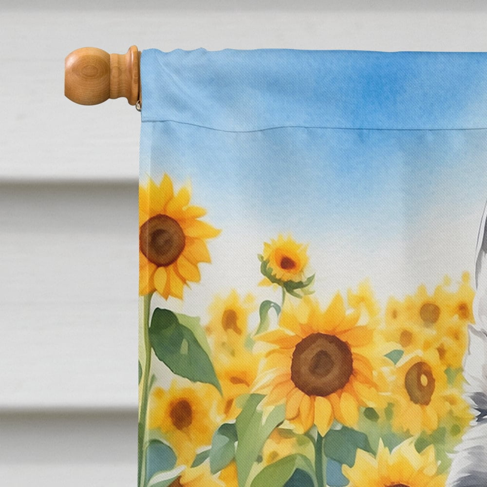 Alaskan Klee Kai in Sunflowers House Flag 28 in x 40 in
