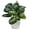 C, variant on KGJQ Fake Plant, Artificial Watermelon Leaf Potted Plants for Desk Realistic Faux Plant in Plastic Pot, Mini Desktop Decor for Bedroom Bathroom Office Shelf Decor