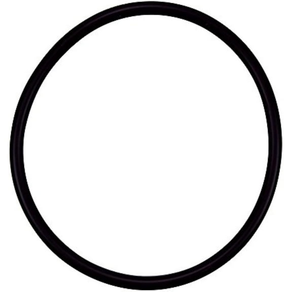 Pentair R172009 Cap O-Ring Replacement Pool and Spa Filter and Feeder