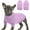 Purple, variant on PayUSD Small Dog Pullover Sweater, Cold Weather Cable Knitwear, Classic Turtleneck Thick Warm Clothes for Chihuahua, Bulldog, Dachshund, Pug, Yorkie