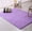 Light Purple, variant on SAYFUT 32x47'' Rectangle Oblong Shape Bedroom Fluffy Rugs Anti-Skid Shaggy Area Office Sitting Drawing Room Gateway Door Carpet Play Mat PiSAYFUT Blue Grey