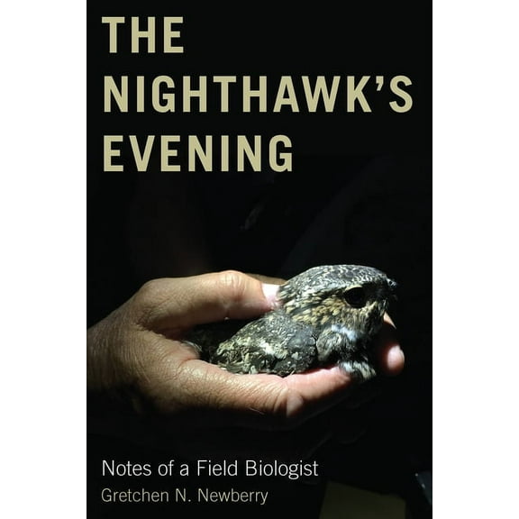 The Nighthawk's Evening, (Paperback)