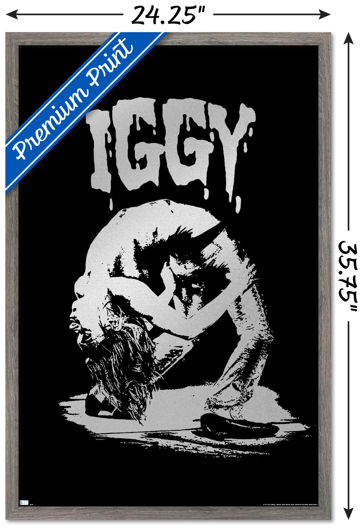 Iggy Pop - Pose Wall Poster, 22.375" x 34", Framed