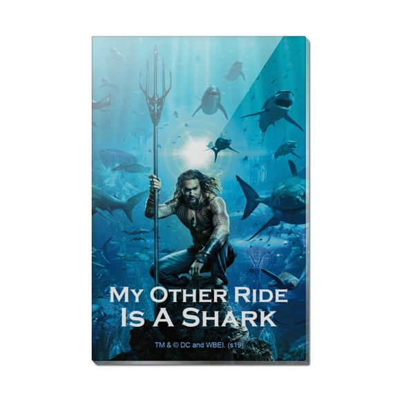 Aquaman Movie My Other Ride is a Shark Rectangle Acrylic Fridge Refrigerator Magnet