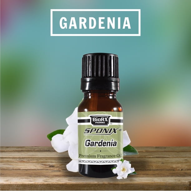 Gardenia Fragrance Oil 10 mL (1/3 Oz) Aromatherapy 100 Pure Organic Aromatic Premium
