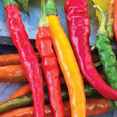 thumbnail image 4 of Ferry-Morse 450MG Pepper Cayenne Blend Vegetable Seeds - Full Sun, 4 of 11