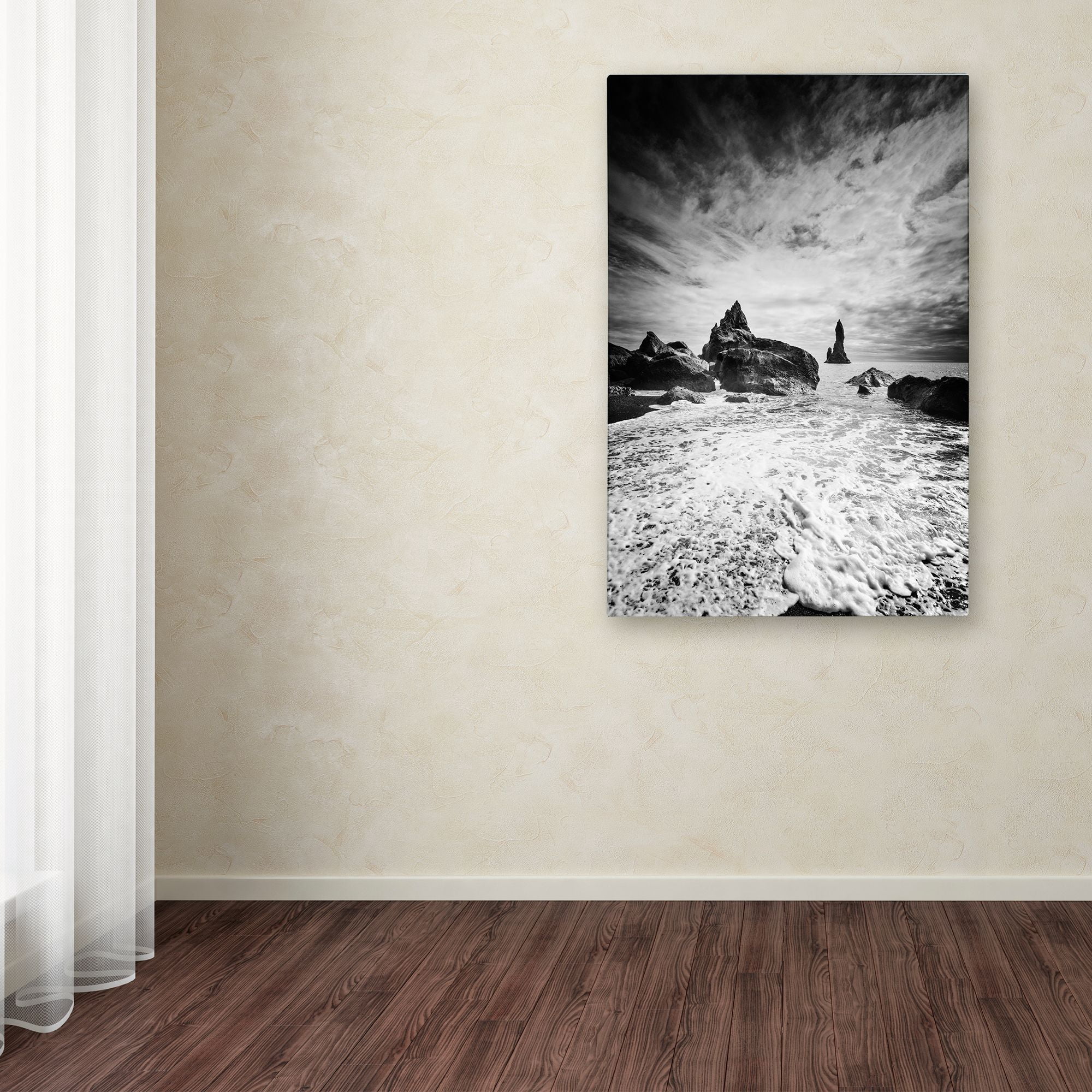Trademark Fine Art 'Black Tip' Canvas Art by Philippe Sainte-Laudy