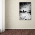 thumbnail image 3 of Trademark Fine Art 'Black Tip' Canvas Art by Philippe Sainte-Laudy, 3 of 3