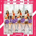 thumbnail image 5 of LINLIN 12 PCS Cheerleading Poms, Cheerleader Pompoms Hand Flowers,for Dancing, Cheerleading, Sports Parties Metallic Foil Pompoms, 5 of 7