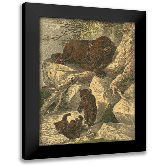 Specht, Friedrich 12x14 Black Modern Framed Museum Art Print Titled - Small Brown Bear