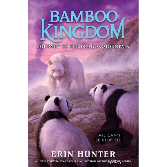 Bamboo Kingdom Bamboo Kingdom #3: Journey to the Dragon Mountain, Book 3, (Hardcover)