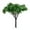 G, variant on Highly Detailed Realistic Miniature Trees for Dioramas and Terrariums, Handcrafted Natural Looking Trees for Scenes, Desktop Displays and Art Projects