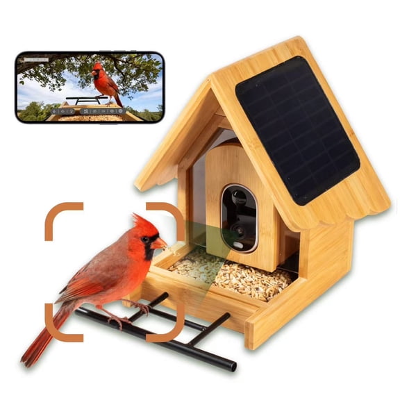 Smart Solar Bamboo Bird Feeder with 3MP AI Camera, 144° Wide-Angle Lens and Daily Video Highlights