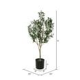 thumbnail image 3 of Vickerman 72" Artificial Green Olive Tree in Black Planters Pot., 3 of 6