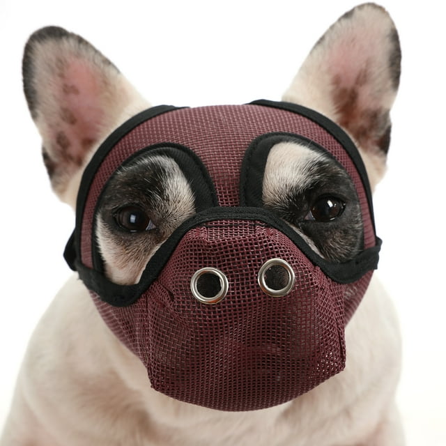 Burgundy PVC Mesh Dog Muzzle for Large Breeds - Anti-Biting, Anti-Chew, Anti-Barking Protection, Lightweight Breathable Design Allowing Panting & Drinking, Ideal for Home Alone or Walking (HD--550#)
