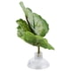 thumbnail image 4 of Almohadilla de hoja de pez Betta, hamaca de hoja Betta, hamaca verde de hoja Betta, almohadilla de hoja de simulación de pez, acabado de lujo, 4 of 8