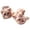 PINK, variant on Women Student Thicken Plush Warm Half Finger Gloves Cute for Cat Embroidery Convertible Flip Top Winter Fingerless for Touch Screen Mittens