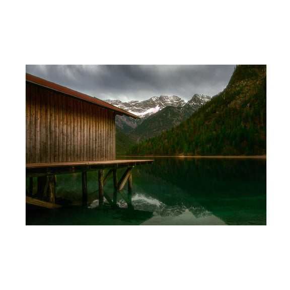 Trademark Fine Art Anastasios Gialopoulos The First Snow. Canvas Wall Art