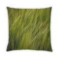 thumbnail image 2 of Ahgly Company Plants Grass Outdoor Throw Pillow, 18 inch by 18 inch, 2 of 6