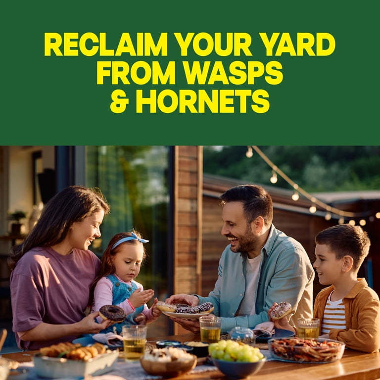 Raid Outdoor Wasp & Hornet Insecticide, 14 oz., 2-Pack photo 4