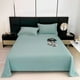 thumbnail image 1 of HWRETIE Sábana de cama de color liso de algodón lavado individual,funda de edredón,ropa de cama de 220 x 230 cm,suave y transpirable,para el hogar,dormitorio,colcha,manta, 1 of 8