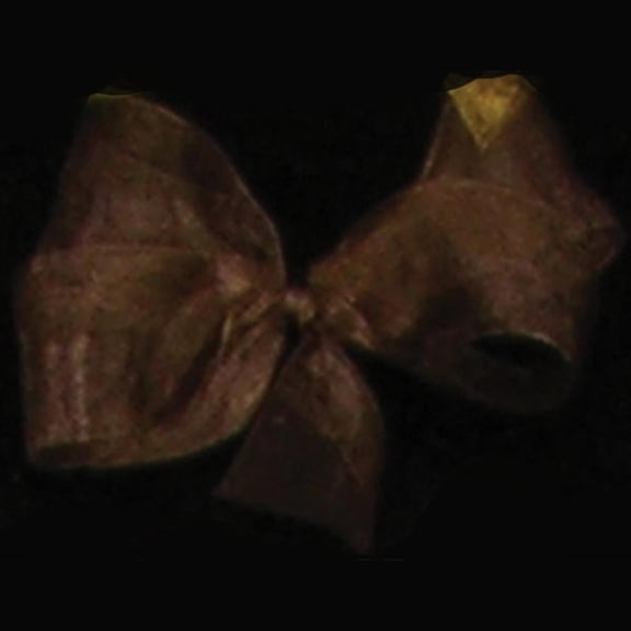 The Ribbon People Espresso Brown Organdy Craft Ribbon 3" x 55 Yards