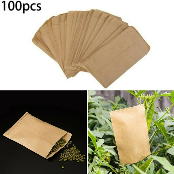 100 Pack Kraft Small Coin Envelopes Self-Adhesive Kraft Seed Envelopes Mini  Part