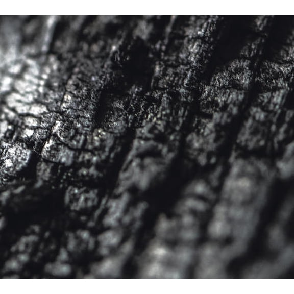 Parallel Worlds - Plector - Music & Performance - CD