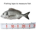 thumbnail image 6 of Fishing Fish Measuring Device Outdoor Fish Ruler Fishing Equipment Fish Measuring Device Fishing Ruler Easy to Use, 6 of 8