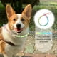 thumbnail image 2 of 1pc perro tirando la correa cuello arnés tirando la correa arco iris perro cadena collar, 2 of 6