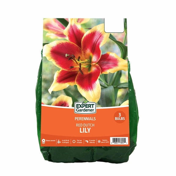 Expert Gardener Red Dutch Lily Set of 3 Dormant Bulbs Partial Sun Perennial