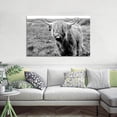thumbnail image 4 of HFDF Large Highland Cow Decor Farmhouse Style Highland Cow Black and White Canvas Poster Animal Wall Art Modern Living Room Wall Decor Naughty Cow Wall Art With for Hanging 24x16inch Framed, 4 of 7