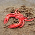 thumbnail image 3 of SPRING PARK Simulation Hermit Crab Marine Animal PVC Model Desktop Decor Education Kids Toy, 3 of 7