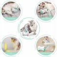 thumbnail image 3 of Interactive Cat Toy for Indoor Cats, Remote Control Toys and Kitten Toys with USB Rechargeable, Colorful LED Wheels, Best Playmate, Gift for Cats (Green), 3 of 5