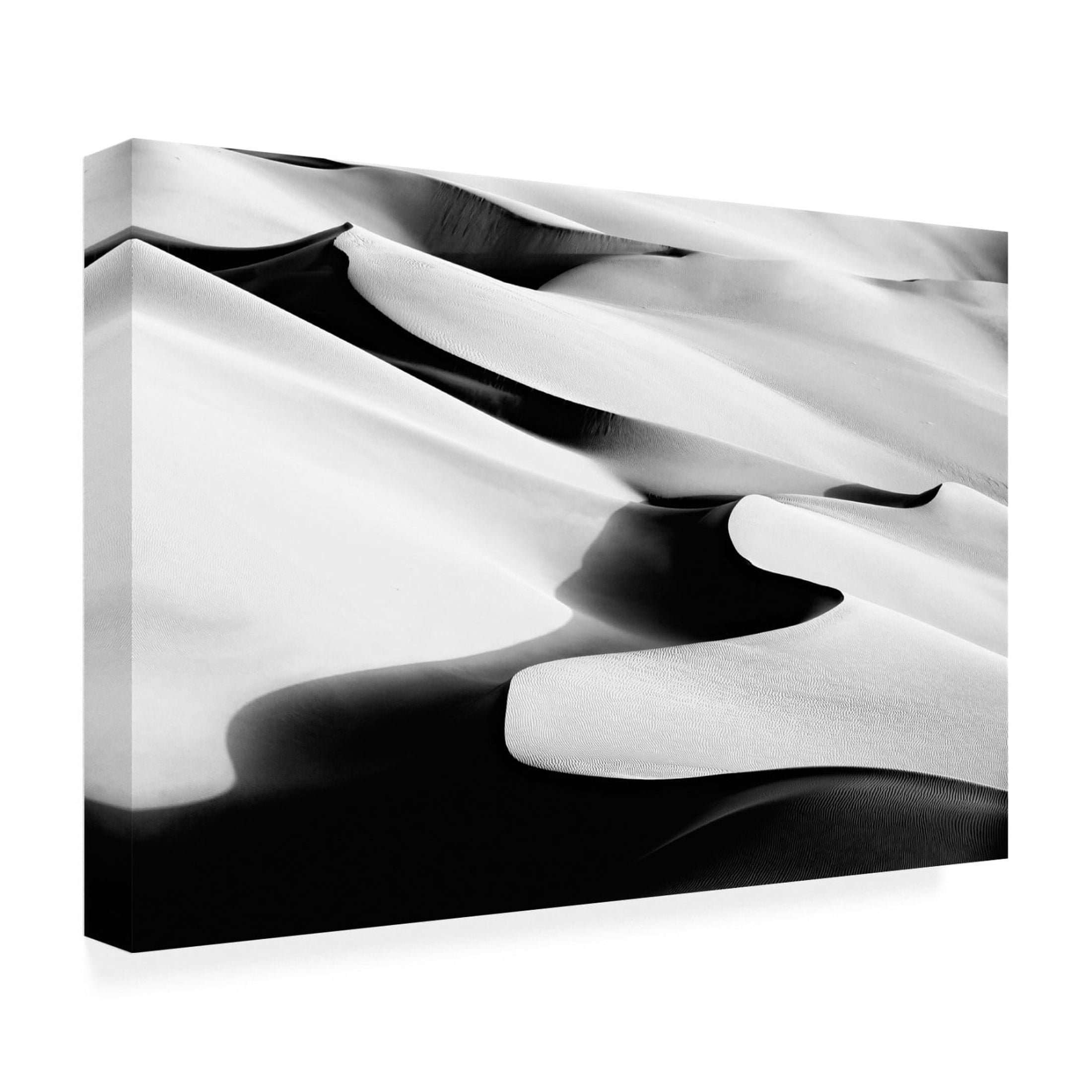 Canvas Wall Art - Mohammadreza Momeni 'Dance' Wall Art for Living Room, Bedroom, or Office D?cor by Trademark Fine Art - 32 x 22 Inches