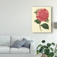 thumbnail image 3 of Trademark Fine Art 'Camellia Garden I' Canvas Art by Verschaffelt, 3 of 4