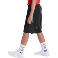 thumbnail image 5 of SURJDE Boys' Heather Shorts-9" Inseam, 5 of 5
