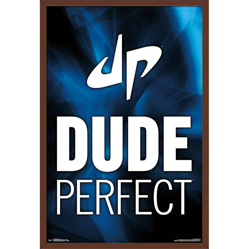 Dude Perfect Logo Poster