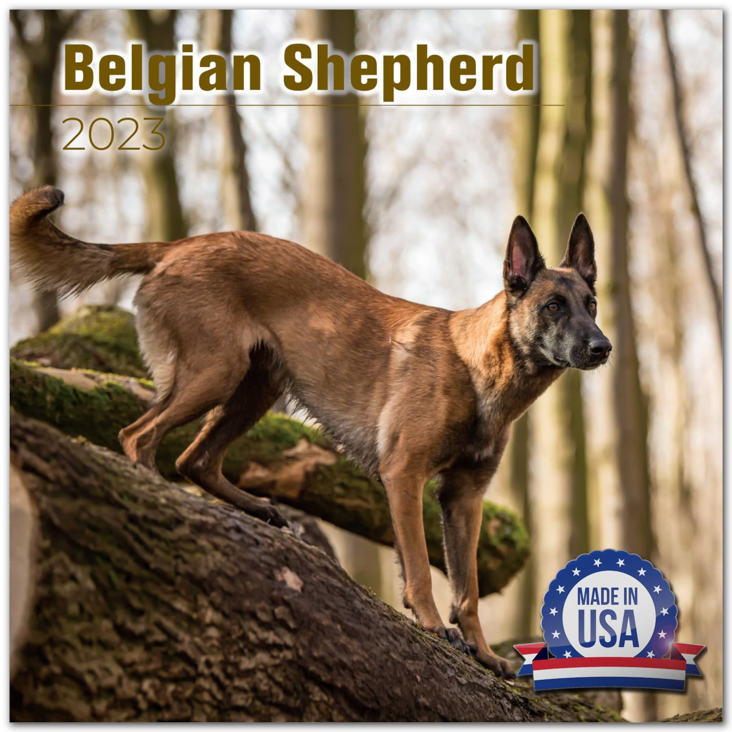 2022 2023 Belgian Shepherd Calendar - Dog Breed Monthly Wall Calendar - 12 x 24 Open - Thick No-Bleed Paper - Giftable - Academic Teacher's Planner Calendar Organizing & Planning - Made in USA