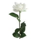 thumbnail image 1 of Flor de rosa artificial de tela • 71cm de largo • 12x7cm cabeza • Decoración de pared para la casa de bodas, 1 of 1