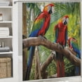 thumbnail image 6 of Orinice Bird Shower Curtain, Colorful Tropical Jungle Bird Parrots on The Branch Nature Forest Spring Landscape Fabric Bathroom Decor Sets with 12 Hooks,,Green Red Blue 69x72, 6 of 7
