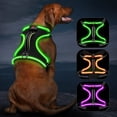 thumbnail image 1 of Chaleco de perro iluminado Vizbrite LED recargable para perros, 1 of 6